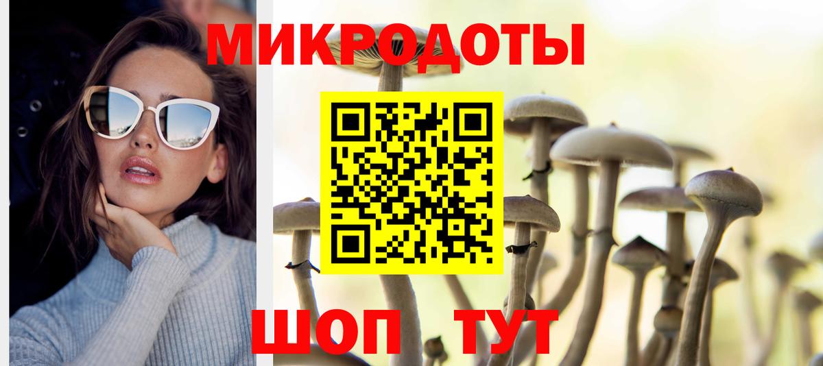 Псилоцибиновые грибы Cubensis Троицк
